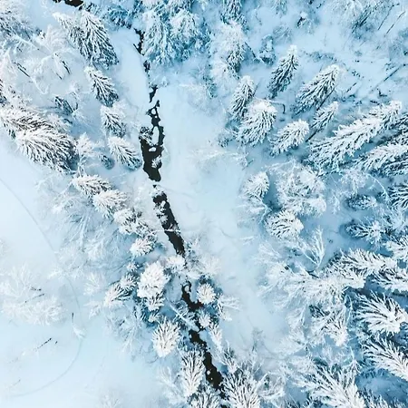 Les Portes Du Soleil - Proprietes Mont *
